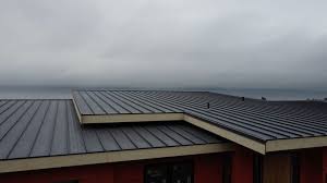 Best Rubber Roofing (EPDM, TPO)  in Mount Washington, KY